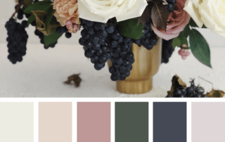 how to choose a color palette design seeds