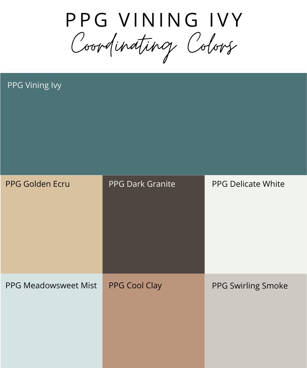 ppg vining ivy coordinating colors