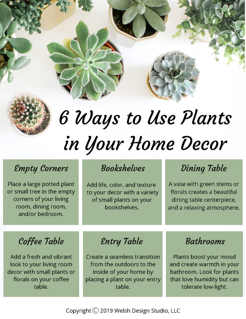 ways to use plants in your interior design and home decor