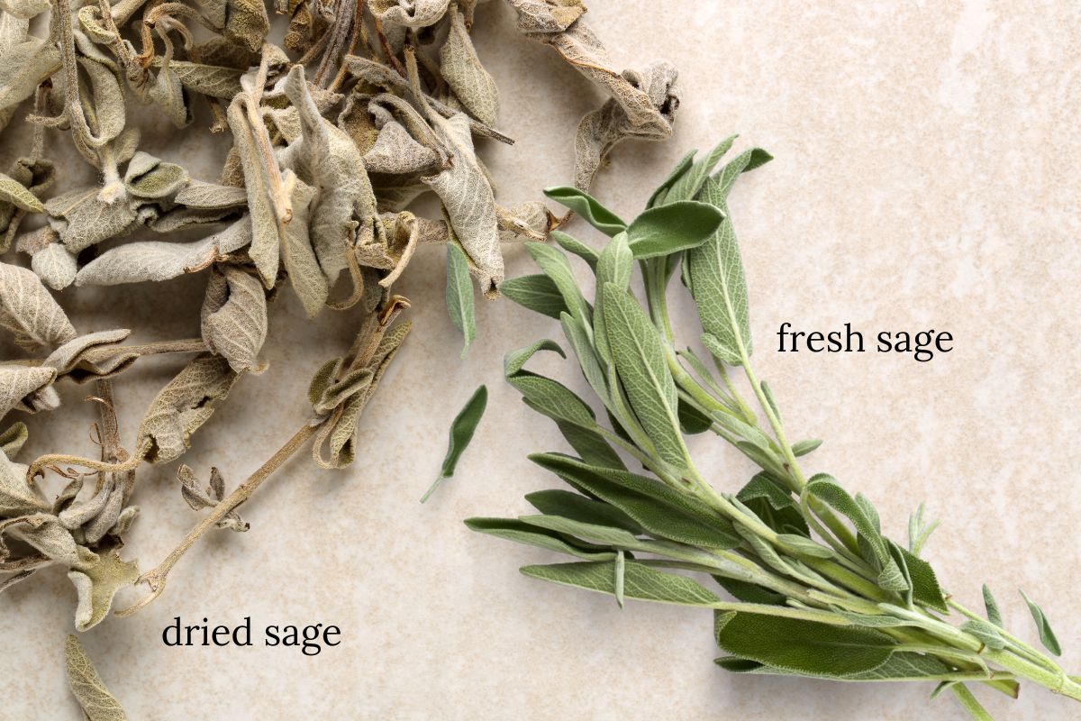 fresh versus dried sage
